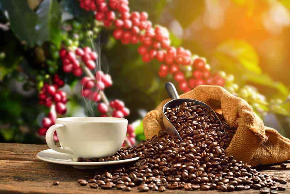 Cup of coffee with smoke and coffee beans in burlap sack