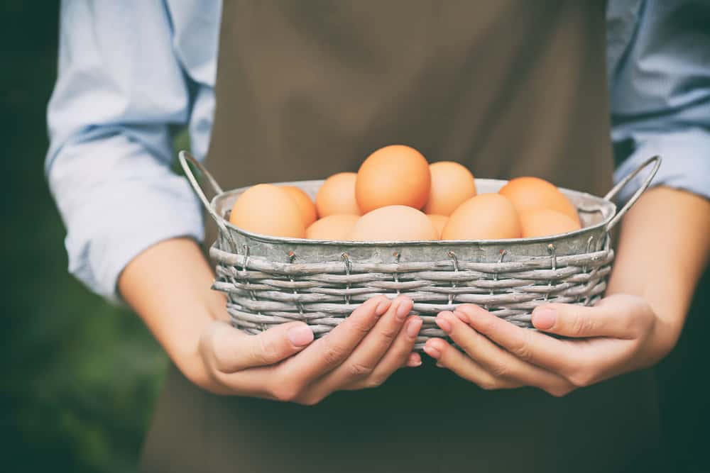 hands holding raw eggs in basket