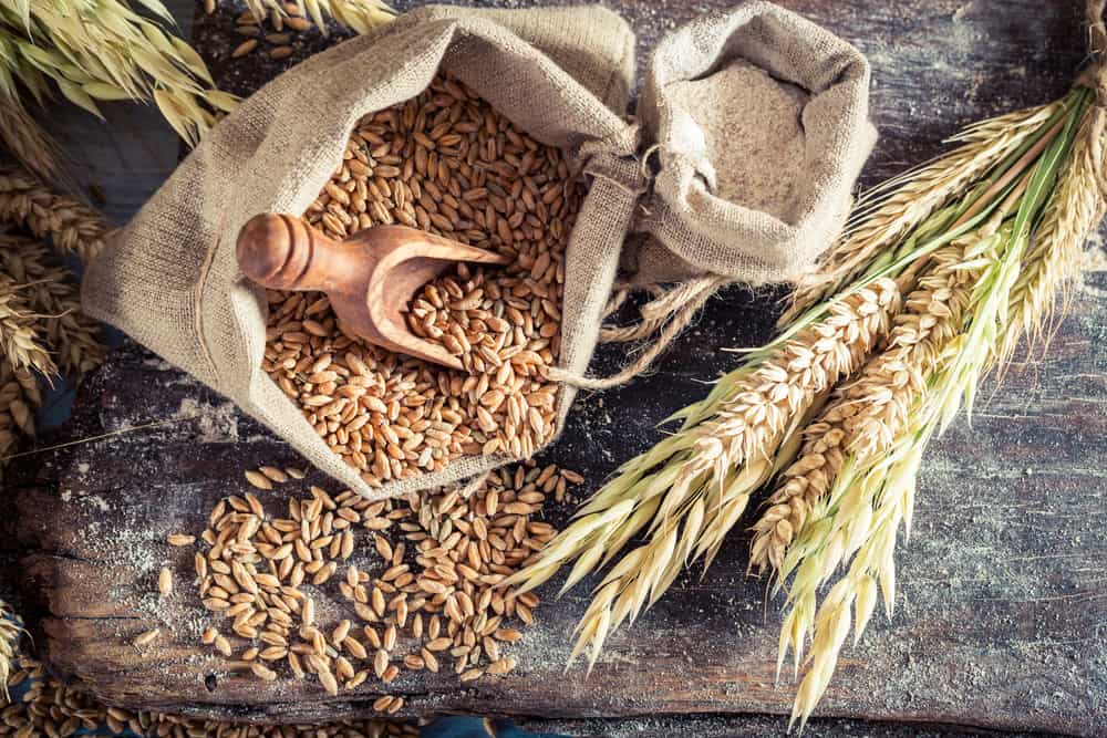 Healthy ingredients for rolls and bread with whole grains